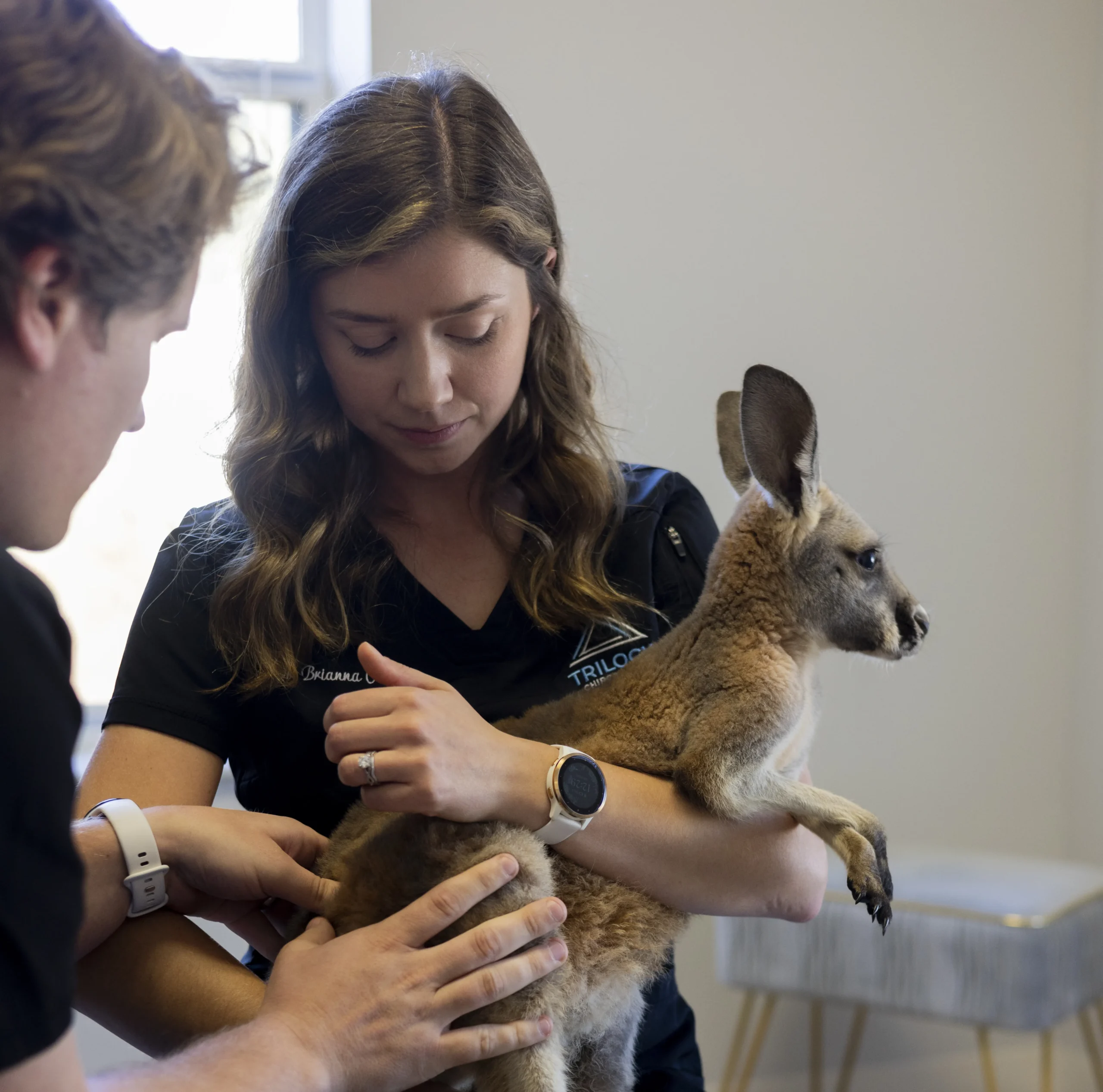 animals services a scaled