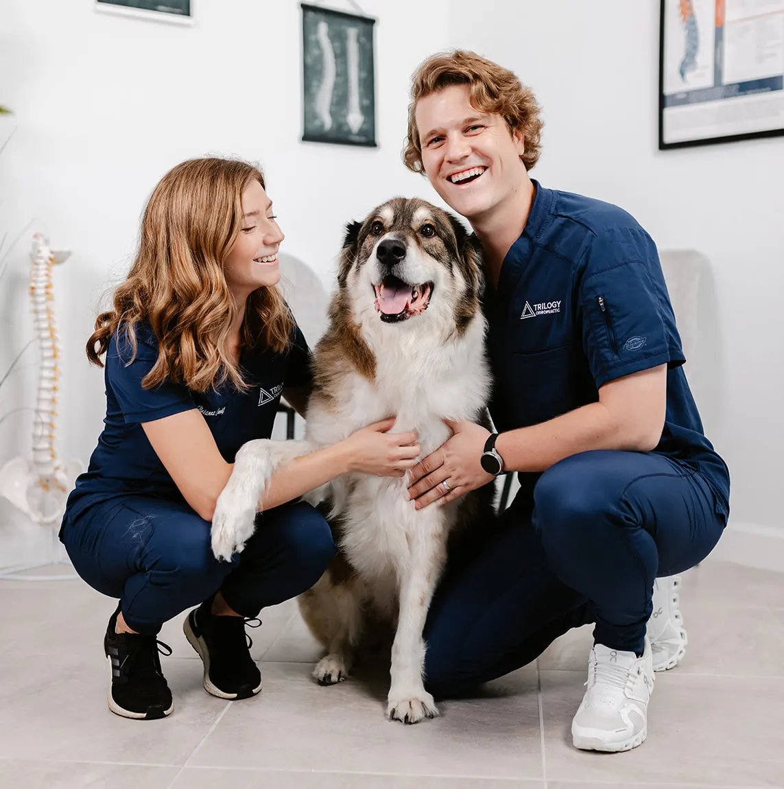 dog-chiropractic-banner-b dog chiropractic banner b