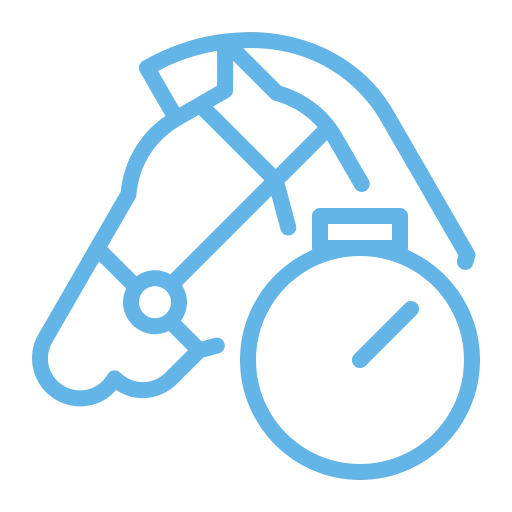 Horse Chiropractic 3 horse faster recovery