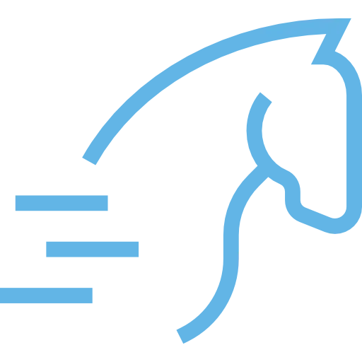 Horse Chiropractic 1 horse improved performance