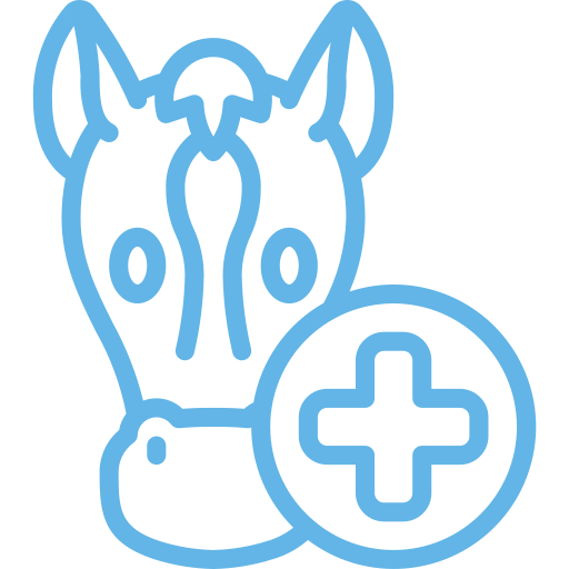 Horse Chiropractic 4 horse overall health