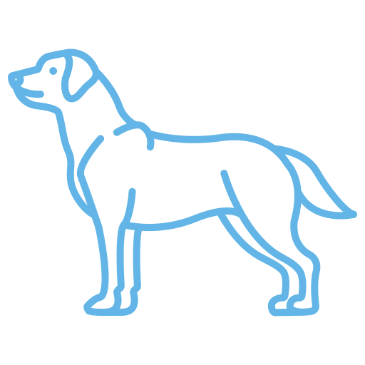 Dog Chiropractic 4 labrador retriever