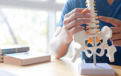 Chiropractor vs Physical Therapist: What’s the Difference—and Which Is Right for You?